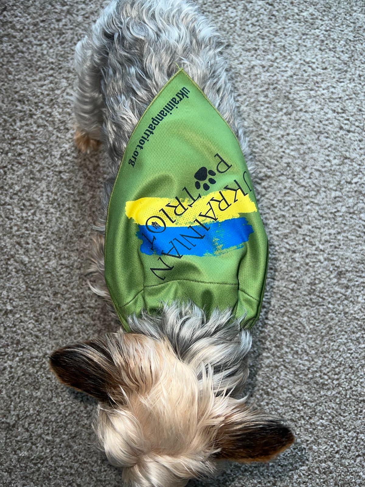 Ukrainian Pawtriot Pet Bandana